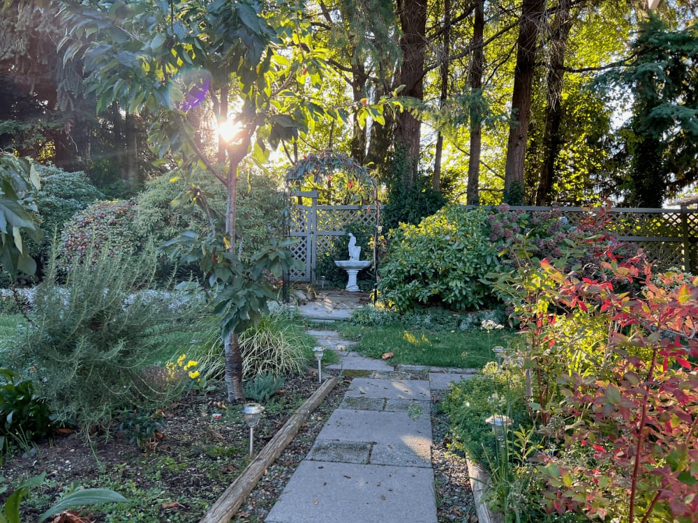 A stone path winding through deep flower borders and evergreens, a small fountain among them.