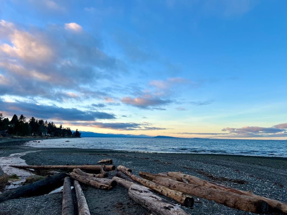 The pebble-and-sand shore at Columbia Beach with driftwood logs and the mountains across the strait.