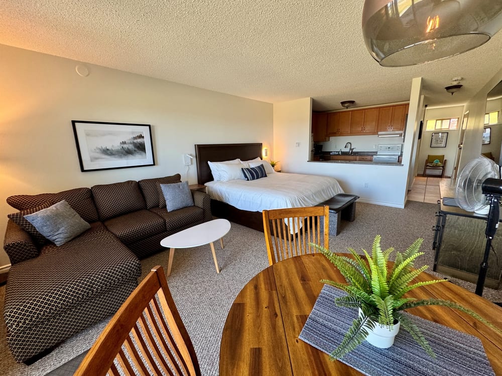 The whole studio seen from the sliding glass door on the beach side, bed at one end and kitchen at the other.