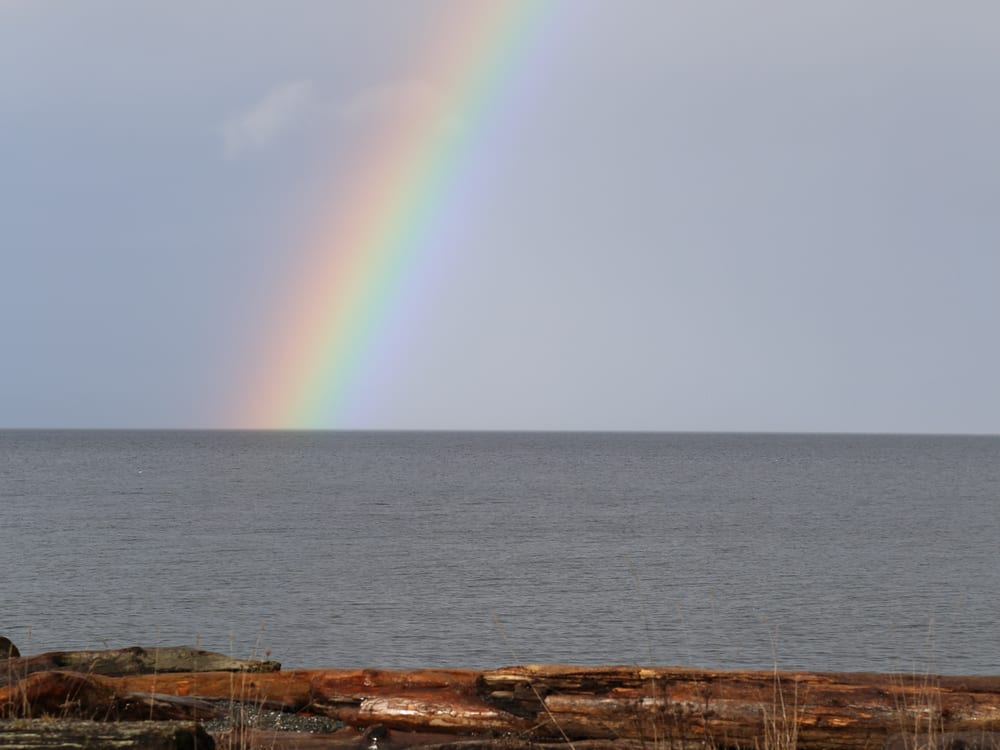 A rainbow coming down into the Strait of Georgia beyond the driftwood at the top of the beach.